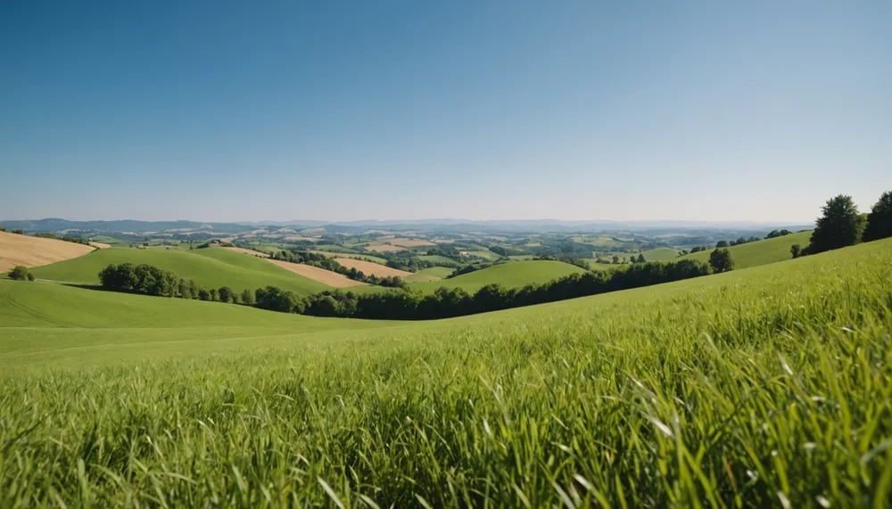 A serene landscape of a serene landscape with rolling hills and a few trees under a clear blue sky